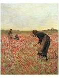 Girls in Poppy Field-Lawren Morris-Premium Giclee Print