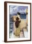 Brown Frame