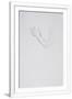 Gramercy White