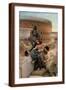 Brown Frame