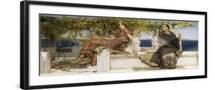 Black Frame