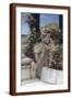 Brown Frame