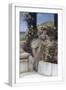 White Frame