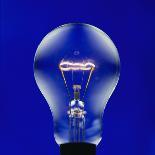 Electric Light Bulb-Lawrence Lawry-Premium Photographic Print