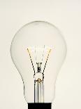 Electric Light Bulb-Lawrence Lawry-Premium Photographic Print