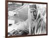 LAWRENCE OF ARABIA, 1962 directed by DAVID LEAN Peter O'Toole (b/w photo)-null-Framed Photo