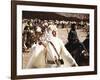 Lawrence Of Arabia, Peter O'Toole, 1962-null-Framed Photo