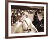 Lawrence Of Arabia, Peter O'Toole, 1962-null-Framed Photo