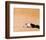 Lawrence of Arabia-null-Framed Photo