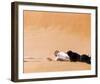 Lawrence of Arabia-null-Framed Photo