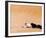 Lawrence of Arabia-null-Framed Photo