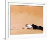 Lawrence of Arabia-null-Framed Photo