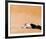 Lawrence of Arabia-null-Framed Photo