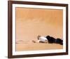 Lawrence of Arabia-null-Framed Photo