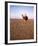 Lawrence of Arabia-null-Framed Photo