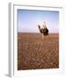 Lawrence of Arabia-null-Framed Photo