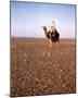 Lawrence of Arabia-null-Mounted Photo