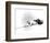 Lawrence of Arabia-null-Framed Photo