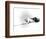 Lawrence of Arabia-null-Framed Photo