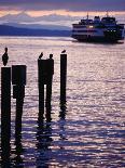 Wa State Ferry Coming in to Dock, Seattle, Washington, USA-Lawrence Worcester-Stretched Canvas