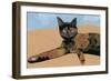 Lay down at the desk tortoiseshell cat, 2017-Hiroyuki Izutsu-Framed Giclee Print