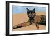 Lay down at the desk tortoiseshell cat, 2017-Hiroyuki Izutsu-Framed Giclee Print