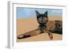 Lay down at the desk tortoiseshell cat, 2017-Hiroyuki Izutsu-Framed Giclee Print