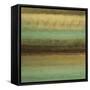 Layered Details I-Randy Hibberd-Framed Stretched Canvas