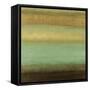 Layered Details II-Randy Hibberd-Framed Stretched Canvas