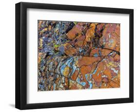 Layered rock formations at Sun Point in Glacier National Park, Montana, USA-Chuck Haney-Framed Photographic Print