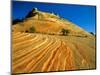 Layered Sandstone in Zion Canyon, Zion National Park, Utah, USA-Chuck Haney-Mounted Photographic Print