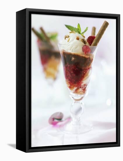 Layered Sundae: Raspberry Sauce, Sponge & Vanilla Nut Ice Cream-Ian Garlick-Framed Stretched Canvas