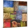 Layered Wood-Karen Williams-Mounted Giclee Print