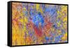 Layers of chipped paint and scratches-Art Wolfe-Framed Stretched Canvas