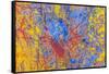 Layers of chipped paint and scratches-Art Wolfe-Framed Stretched Canvas