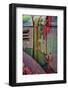 Layers of Color II-Kathy Mahan-Framed Photographic Print