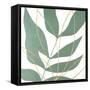Layers of Leaves II-Vanna Lam-Framed Stretched Canvas