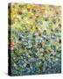 Layers of Life-Jessica Torrant-Stretched Canvas