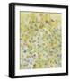 Layers of Luminosity-Jessica Torrant-Framed Giclee Print