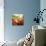 Layers of Summer Evening a - Recolor-THE Studio-Premium Giclee Print displayed on a wall