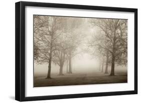 Layers of Trees II-Igor Svibilsky-Framed Art Print