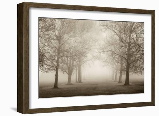 Layers of Trees II-Igor Svibilsky-Framed Art Print