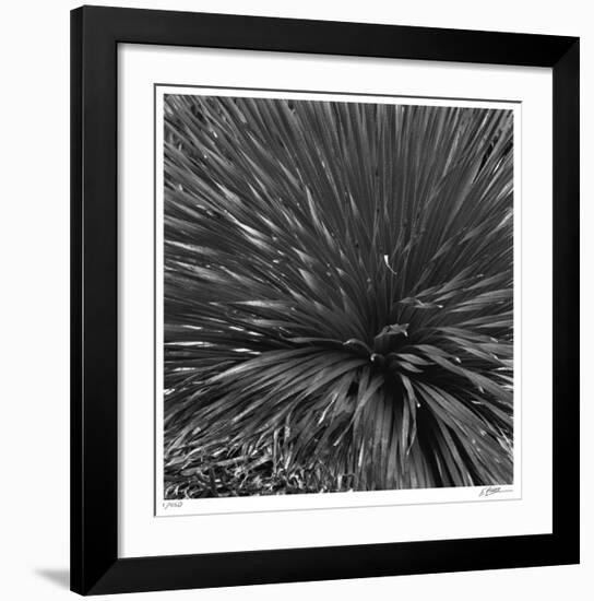 Layers of Yuca-Edward Asher-Framed Giclee Print