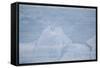 Layers on an Iceberg-DLILLC-Framed Stretched Canvas