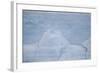 Layers on an Iceberg-DLILLC-Framed Photographic Print