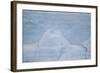 Layers on an Iceberg-DLILLC-Framed Photographic Print