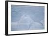 Layers on an Iceberg-DLILLC-Framed Photographic Print