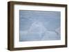 Layers on an Iceberg-DLILLC-Framed Photographic Print