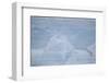 Layers on an Iceberg-DLILLC-Framed Photographic Print