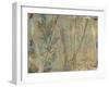 Layers on Bamboo I-Jennifer Goldberger-Framed Art Print